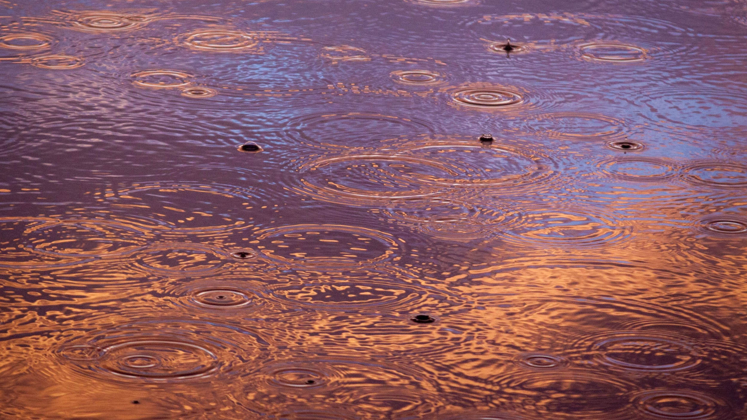 ascension-4-collective-consiousness-suzanne-worthley-blog